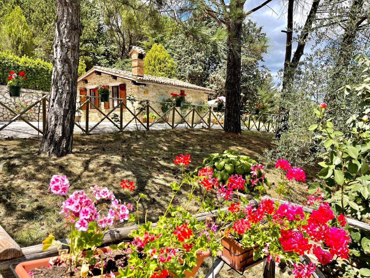 La Panoramica Gubbio - Maison De Charme - Casette E Appartamenti Self Catering Per Vacanze Meravigliose! Экстерьер фото