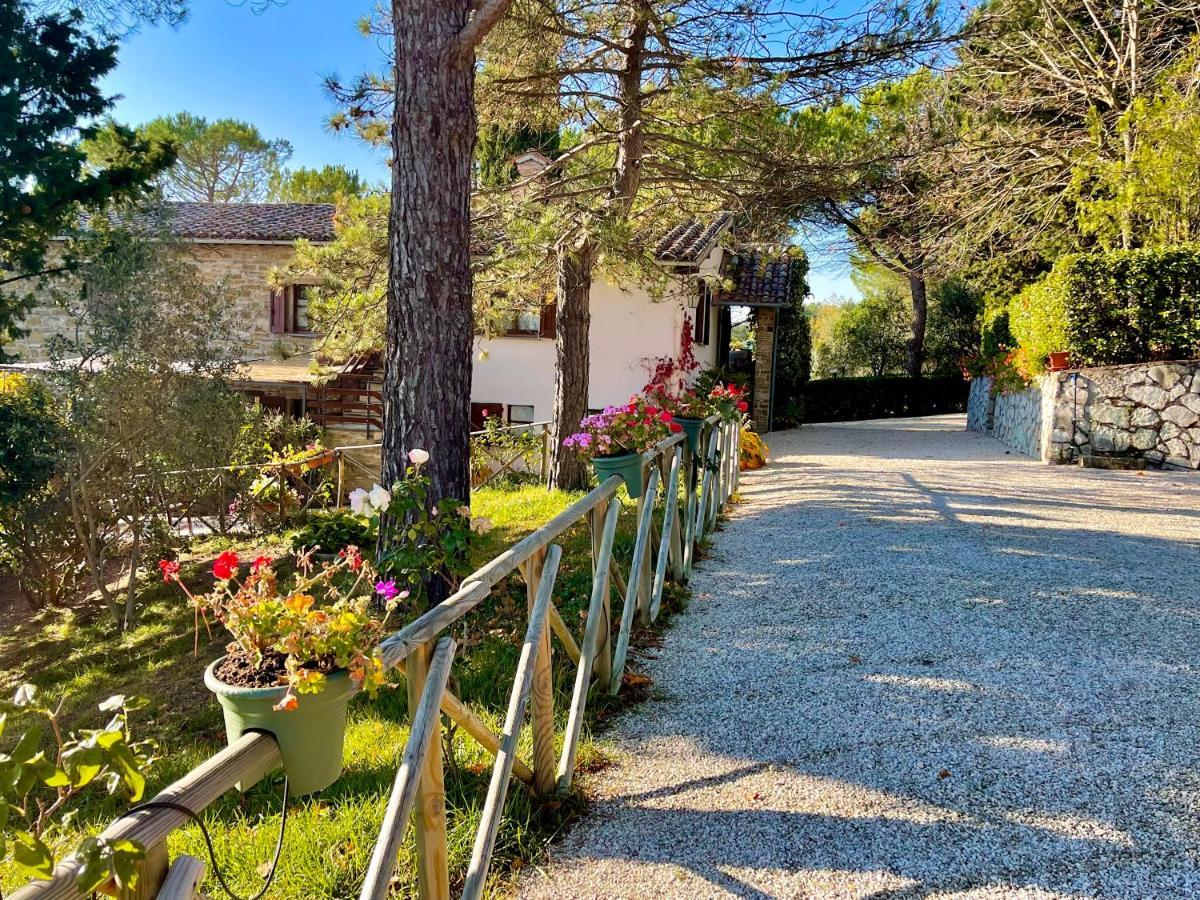 La Panoramica Gubbio - Maison De Charme - Casette E Appartamenti Self Catering Per Vacanze Meravigliose! Экстерьер фото